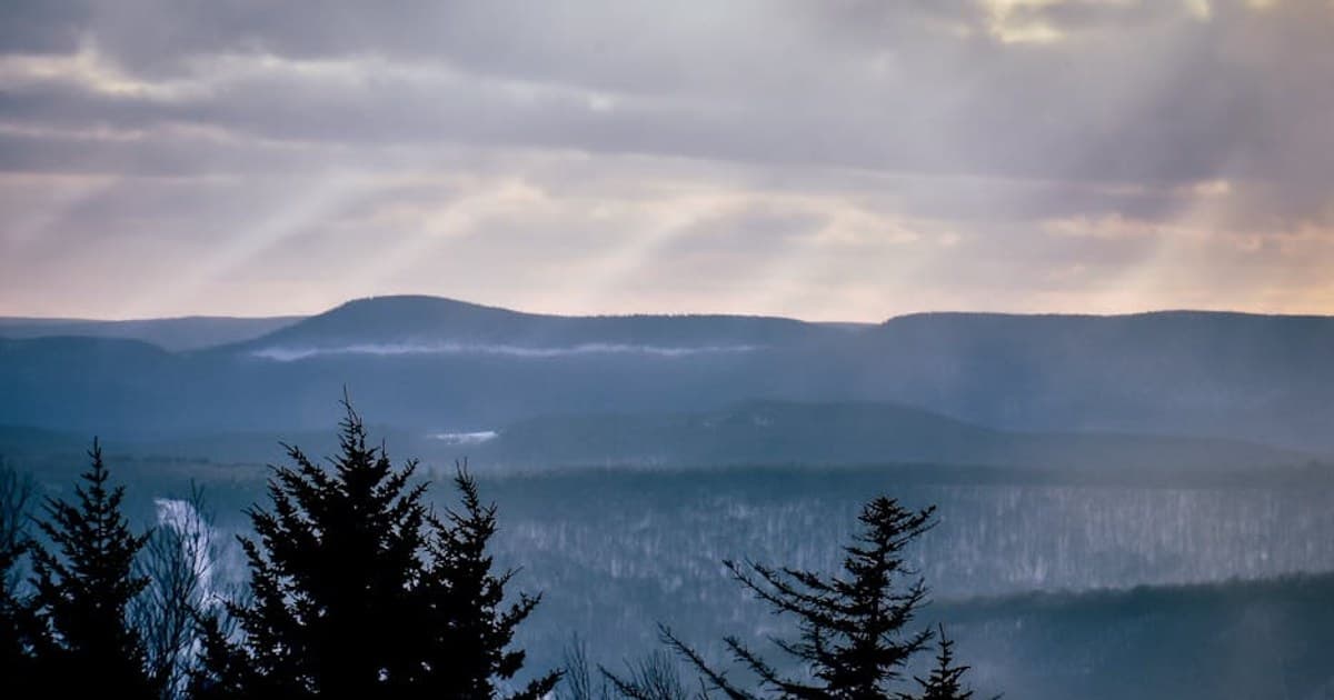 Cannabis Terminology 101: A Glossary of Terms Every Consumer Should Know