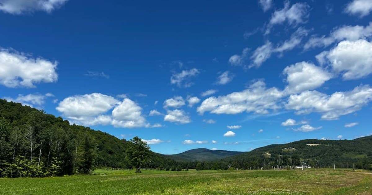 How Cannabis Works in Your Body: The Endocannabinoid System Explained