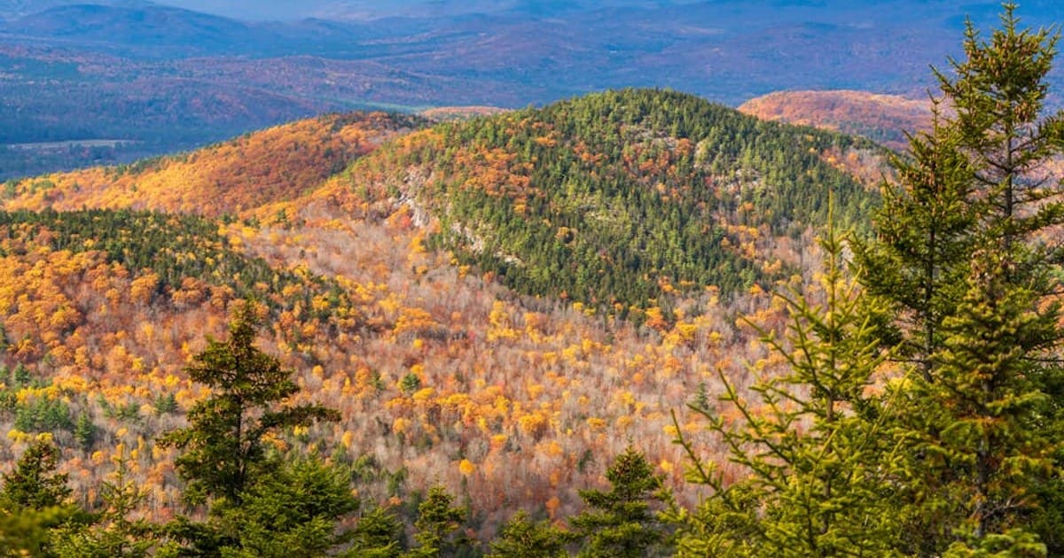 Cannabis as an Alcohol Alternative: A Growing Lifestyle Shift