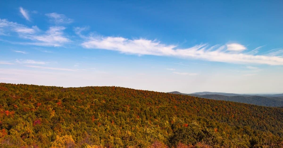 How to Talk to a Budtender: Questions to Ask and Tips for a Better Visit