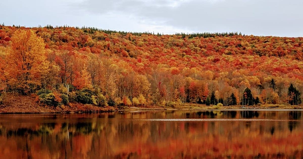 Federal Cannabis Laws Explained: Where Rescheduling and Reform Stand