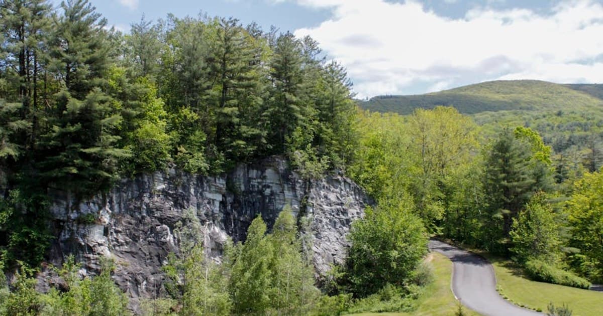 Delta-8 THC vs. Delta-9 THC: Legal Status, Effects, and Safety