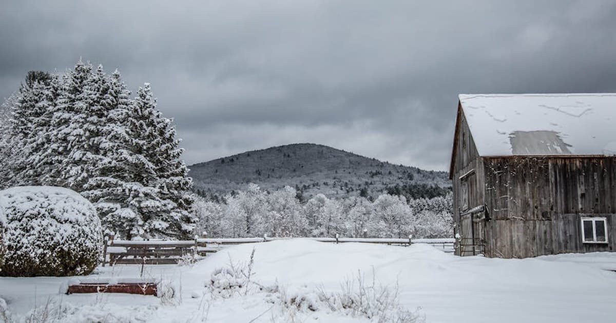 What Are Terpenes? How They Shape Your Cannabis Experience