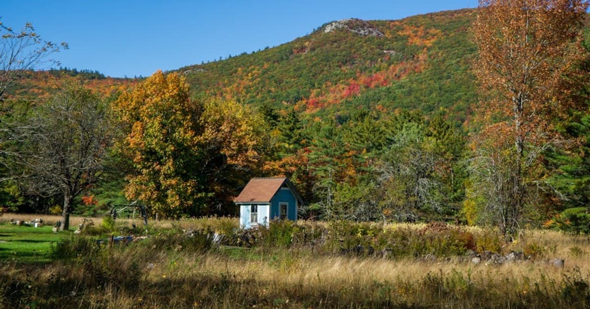 A quaint shed nestled in a vibrant autumnal mountain landscape surrounded by trees and fields.