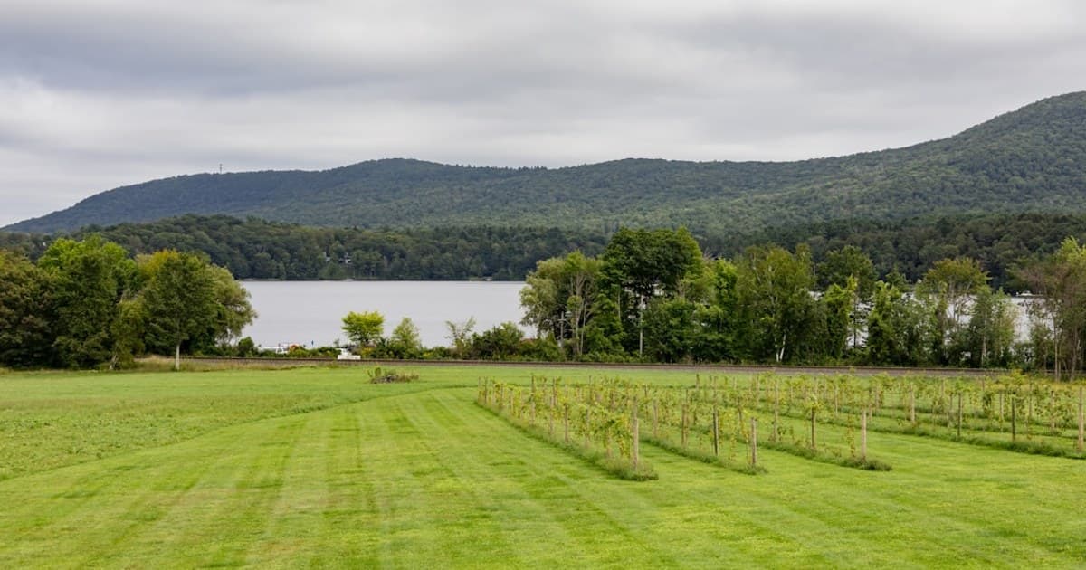 green grass field near lake under white clouds during daytime