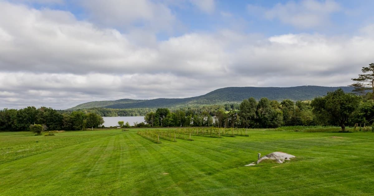 green grass field under cloudy sky during daytime
