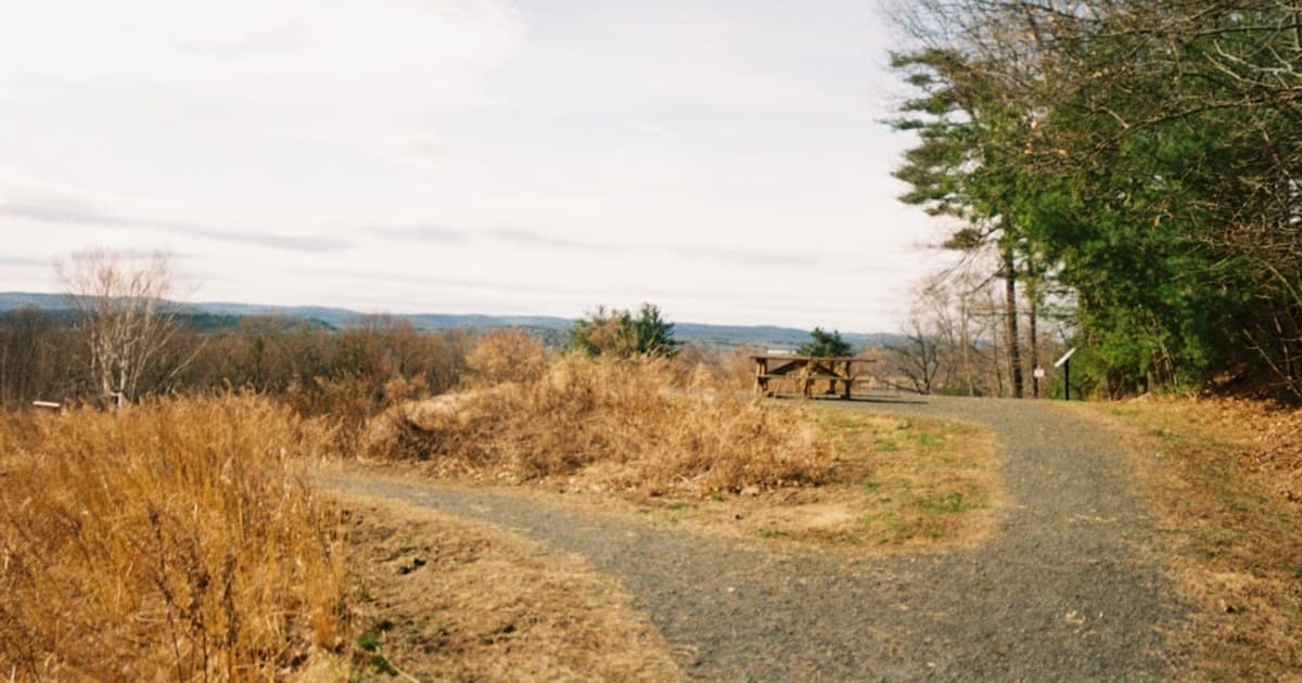 A path splits near a scenic overlook.