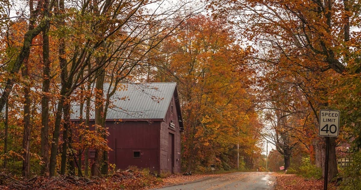 a country road with a barn in the background