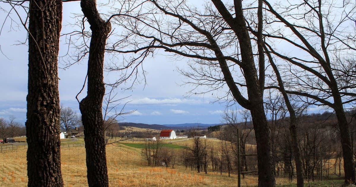 A serene winter landscape of rolling hills, barns, and bare trees in Delaplane, Virginia.