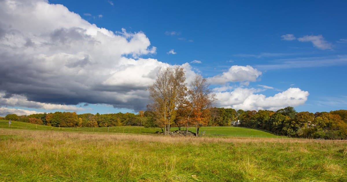 Tranquil autumn scene in Southborough, MA with grassy fields and vibrant trees under a bright sky.